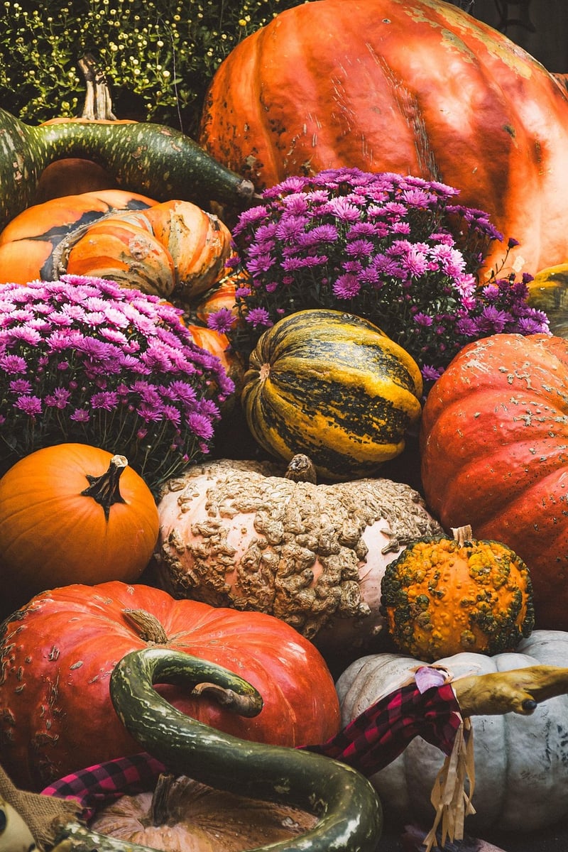 Harvest Celebrations